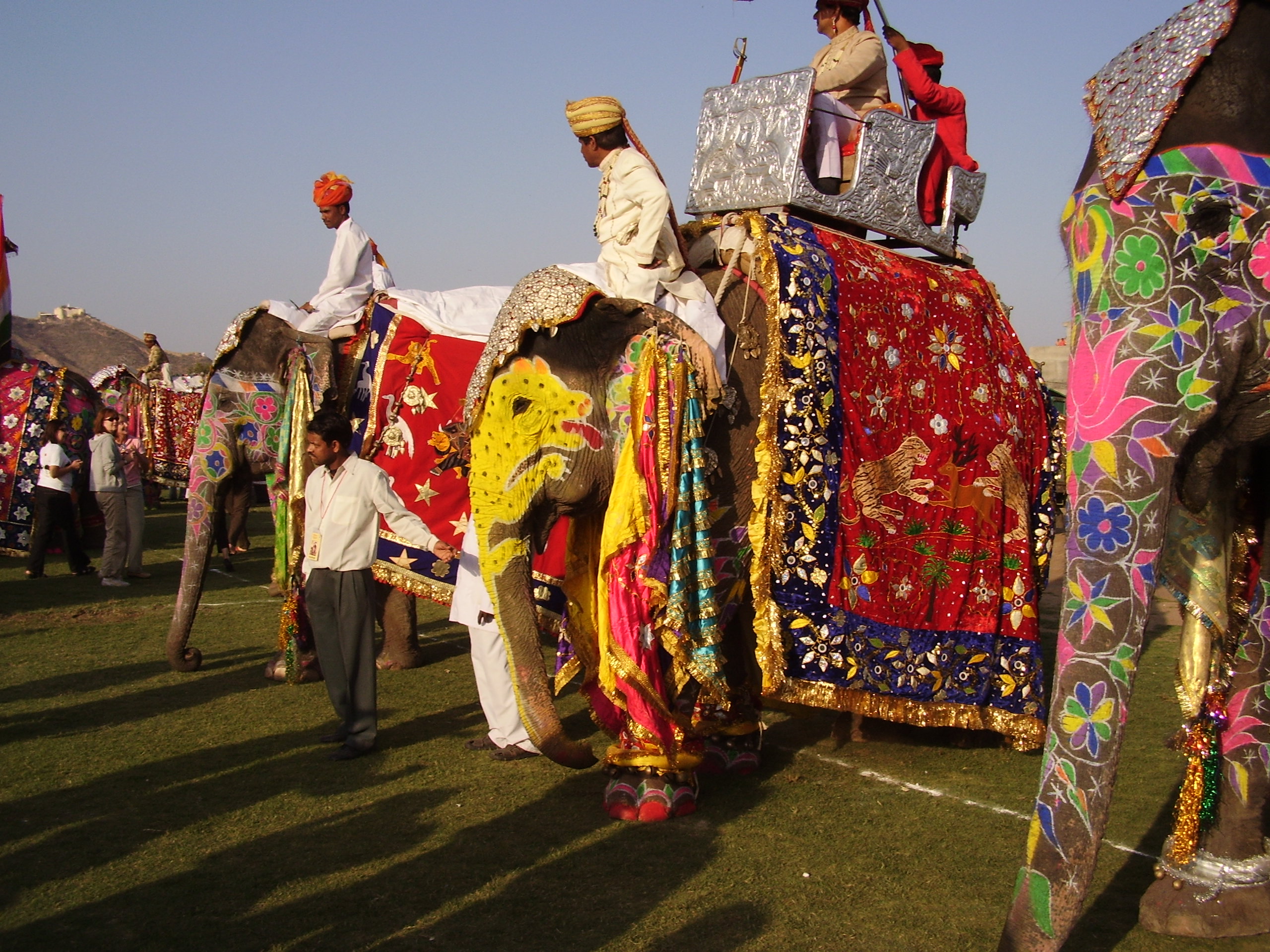 Festival degli elefanti