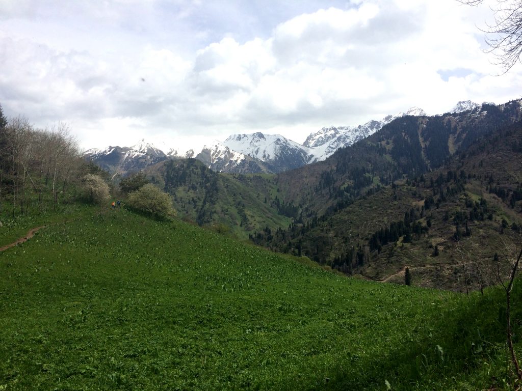 Inner valley in May